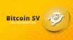 Bitcoin SV (BSV) Coin Nedir, Nasıl Alınır? Hangi Borsada Var?
