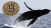 Dev Bitcoin balinasından 138 milyon dolarlık BTC alımı