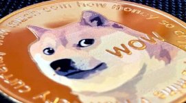 Ünlü yatırımcı: DOGE sahte bir yatırım türü!