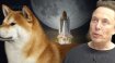 Elon Musk “roket” paylaştı, SHIB coin uçtu!