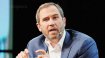 Ripple CEO’su DOGE’u sert eleştirdi!