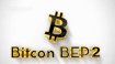 Bitcoin BEP2 (BTCB) Coin Nedir, BTCB Token Nasıl Alınır?