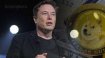 Elon Musk’tan DOGE kurucusuna imalı yanıt