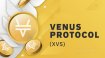 XVS Coin Geleceği 2022 - Uzmanların VENUS Fiyat Tahminleri