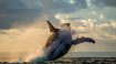 Ethereum balinaları FTT Token’e saldırıyor!