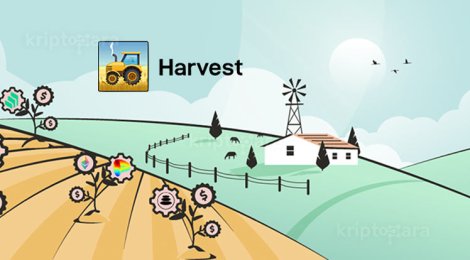 3 Analistten Harvest Finance (FARM) Geleceği 2022