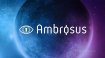 Ambrosus (AMB) Coin Nedir? Hangi Borsada Var?