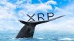 Bu balina halen 160 milyon dolarlık XRP taşıyor!