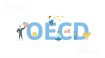 OECD uzmanı: Kripto çöküşü geleneksel finansı batırabilir
