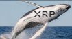 Hem veriler hem analist söyledi: Balinalar XRP’de yükselişe geçti