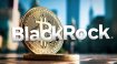 BlackRock ETF'i rakibinin gerisinde! İşlem hacmi açıklandı