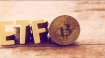 Bitcoin ETF'leri altın çağını yaşıyor! Yatırımcı akını sürüyor