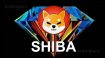 Shiba Inu'nun erken dönem yatırımcısı rekor kırdı!
